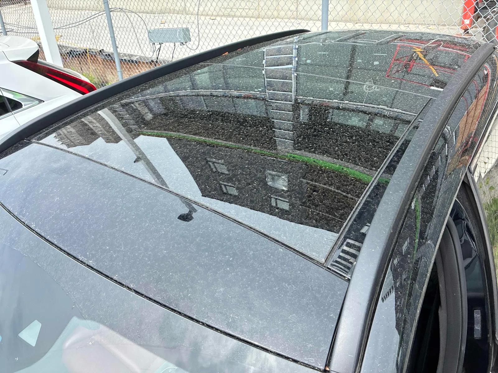 Additional Photo