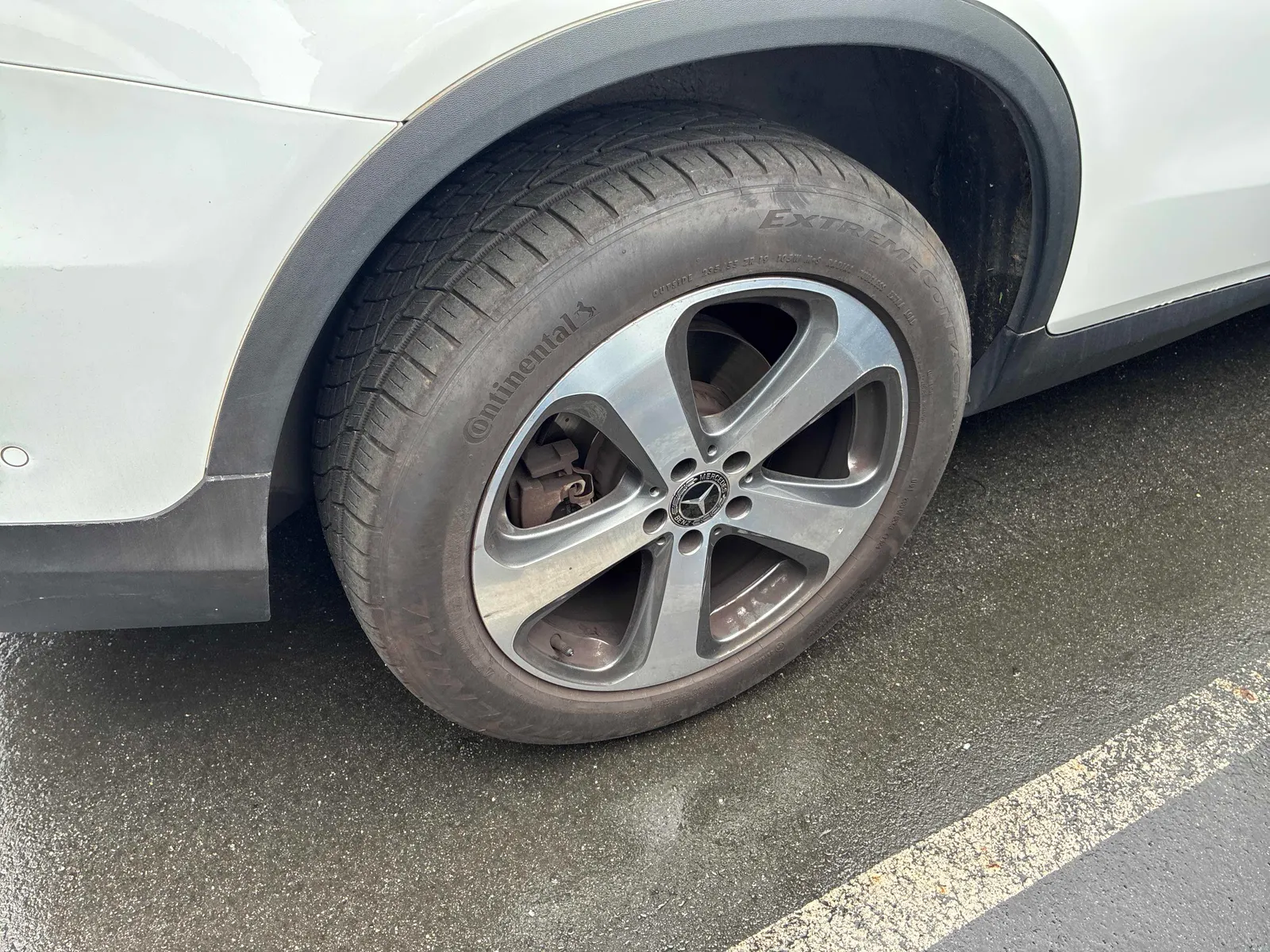 Additional Photo