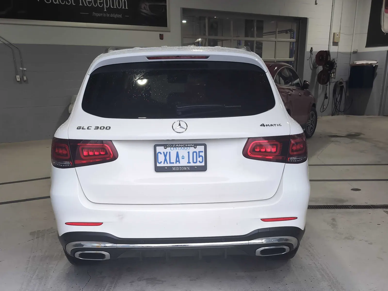 Back