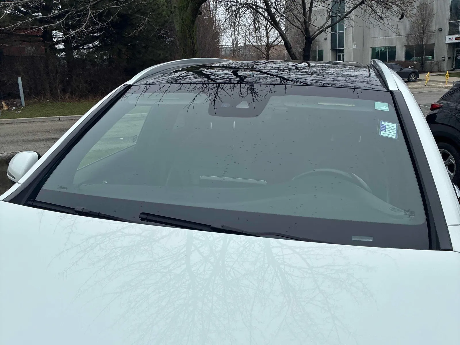 Additional Photo