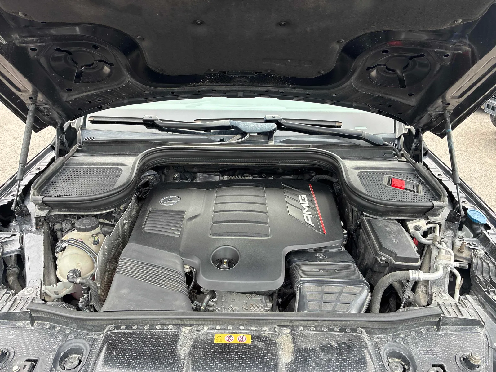 Additional Photo