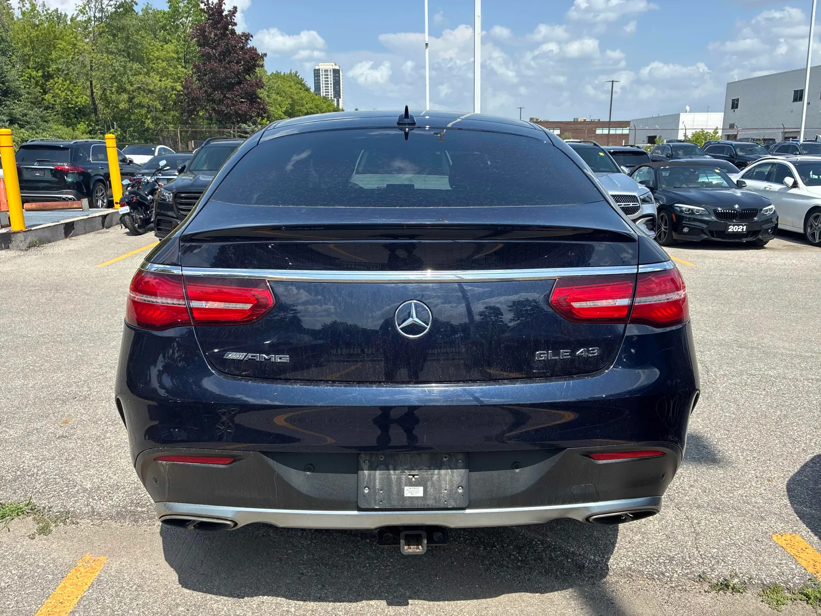 Back