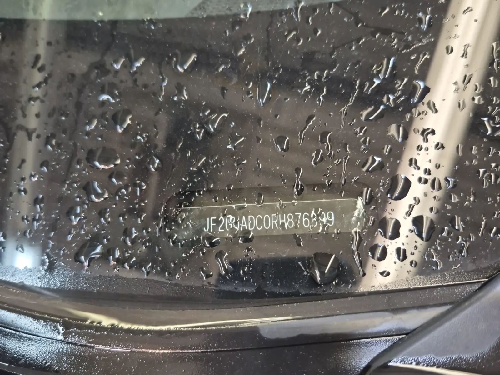 Additional Photo