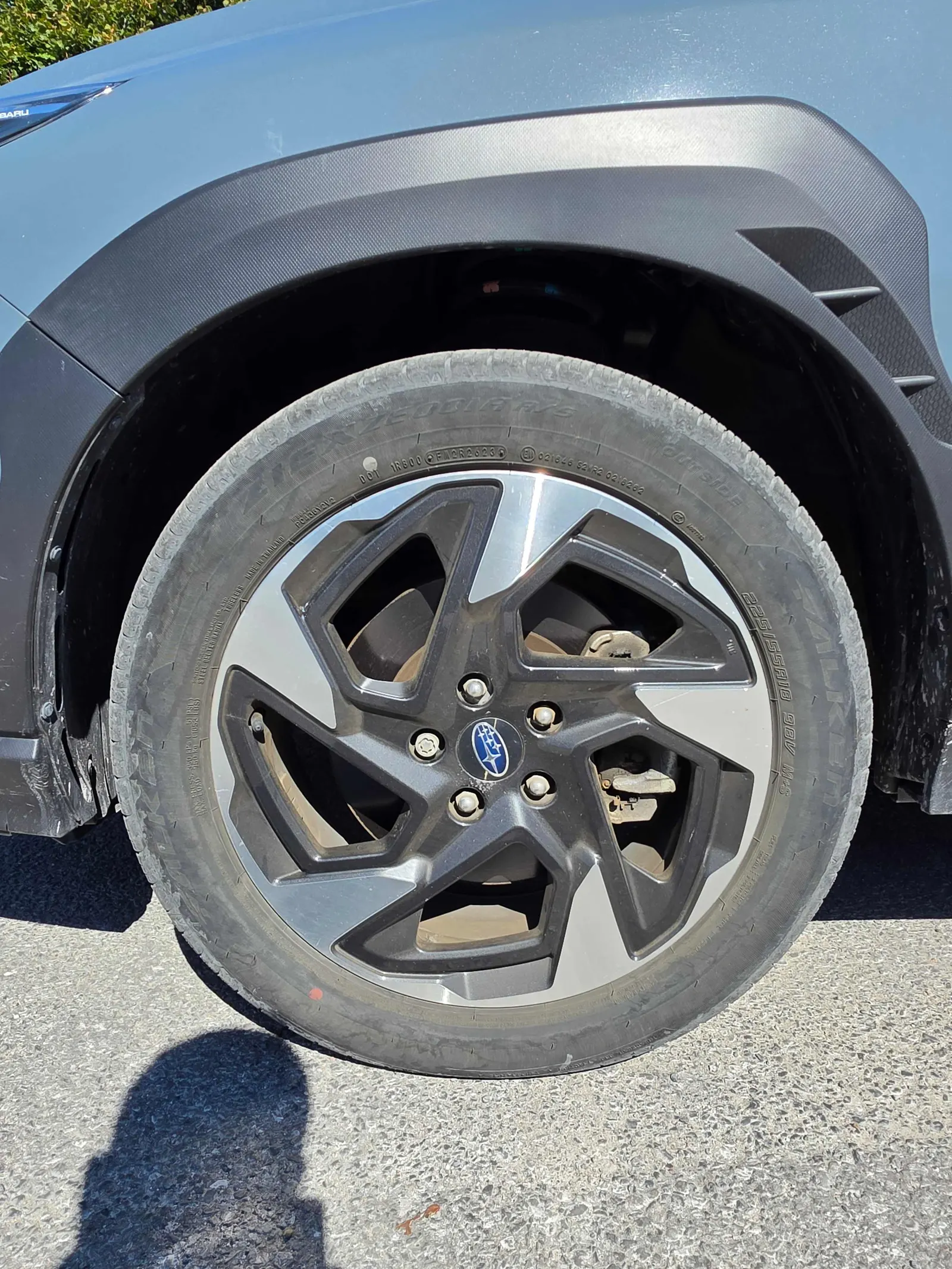 Tire