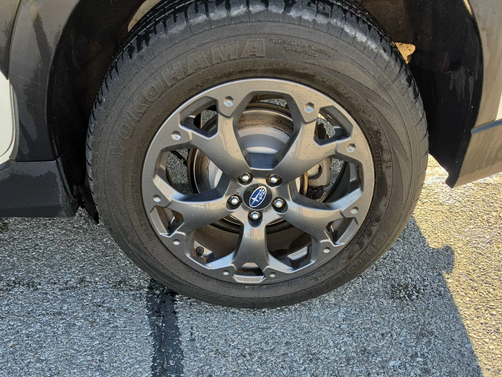 Tire