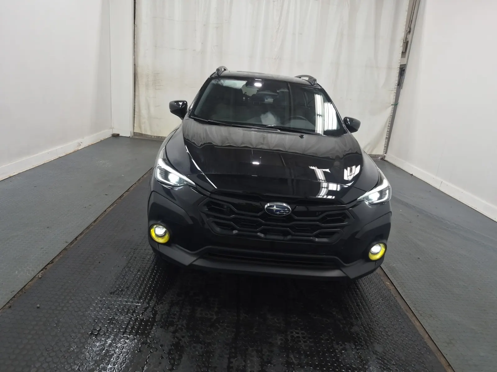 Full Front Photo