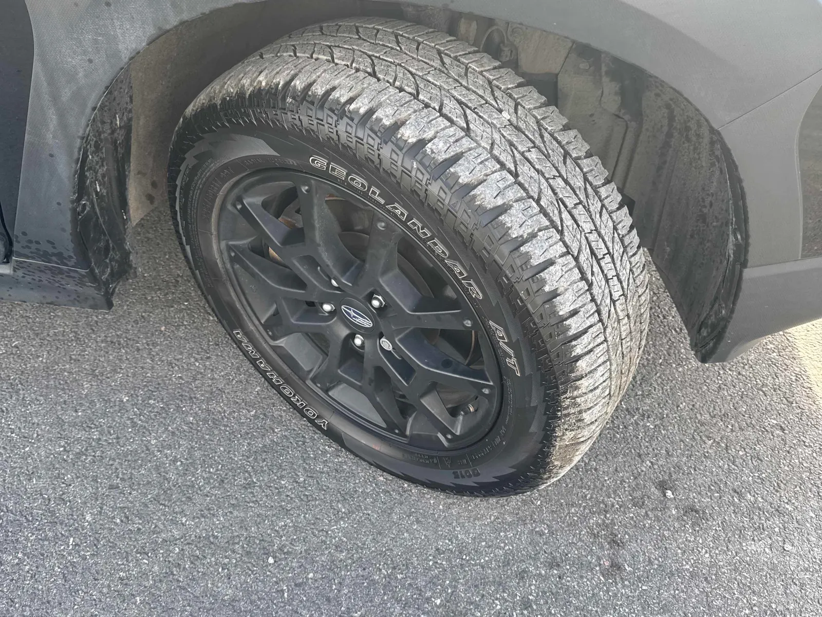 Tire