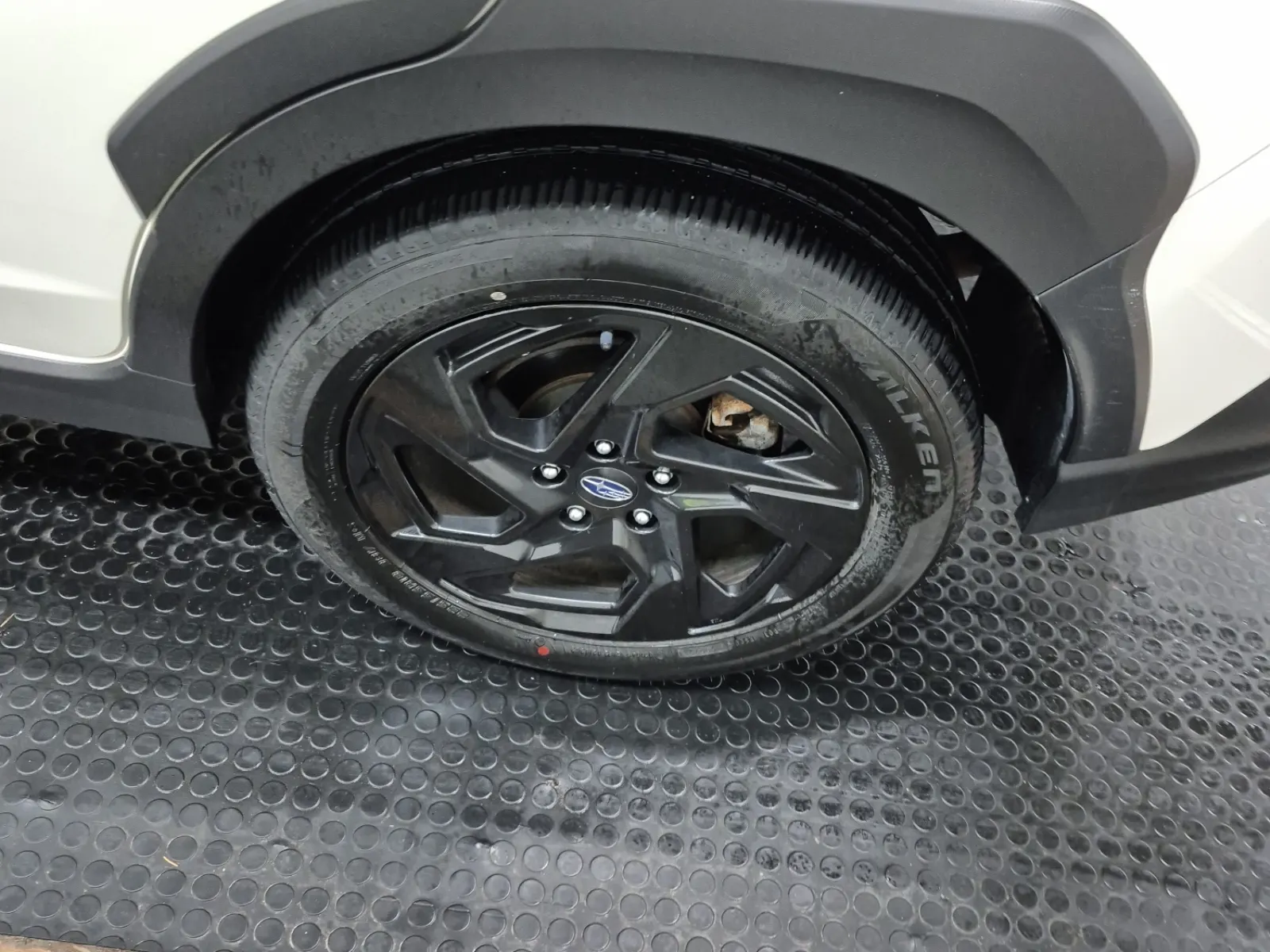Left Rear Wheel/Tire Photo