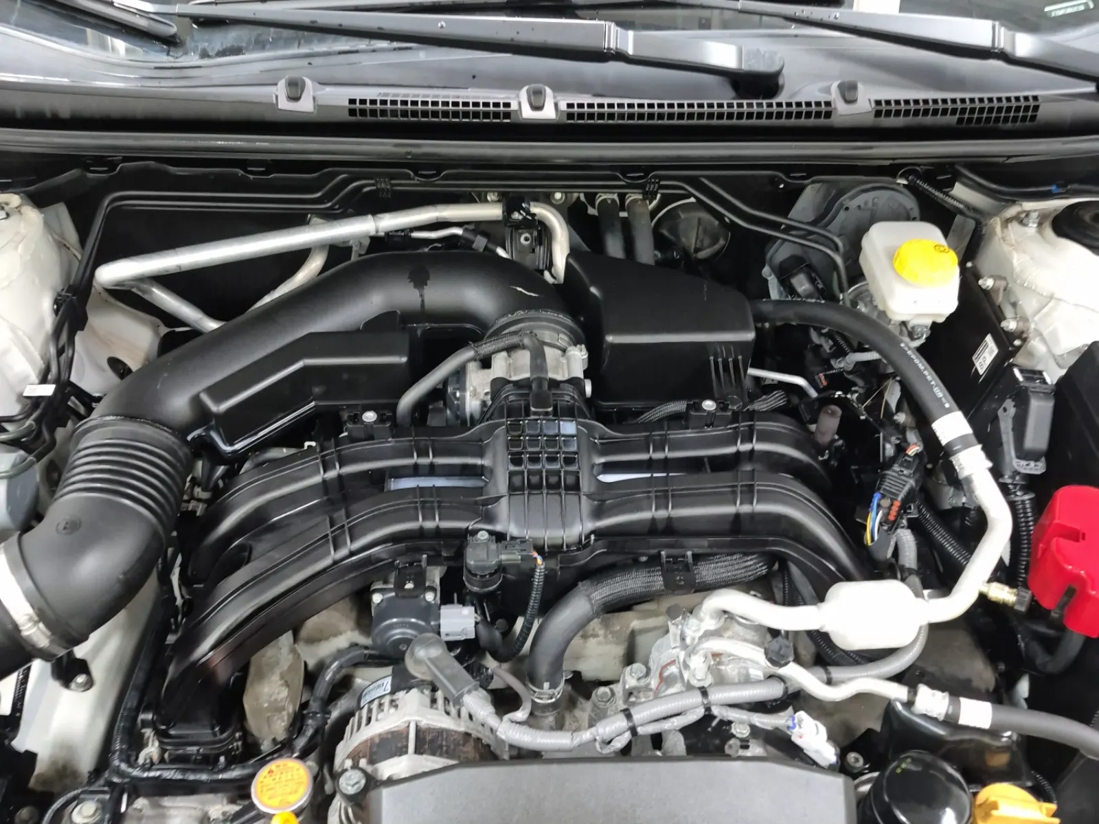 Engine Photo