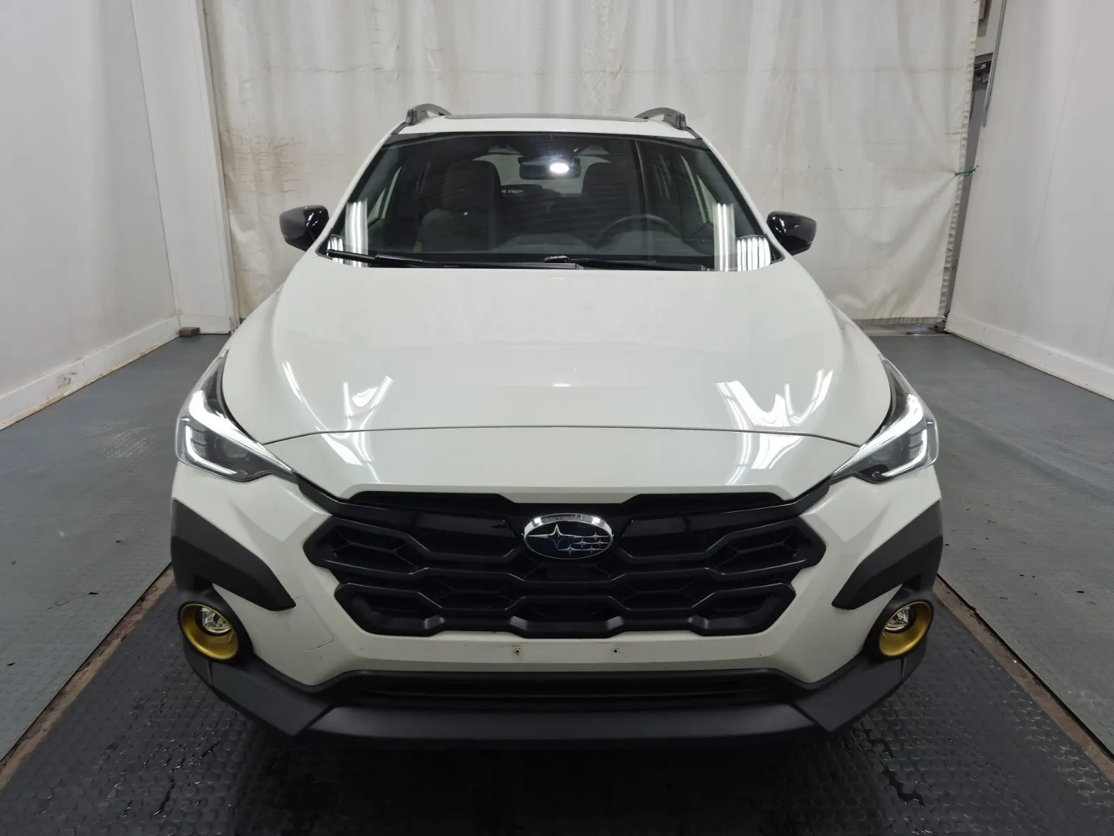Full Front Photo