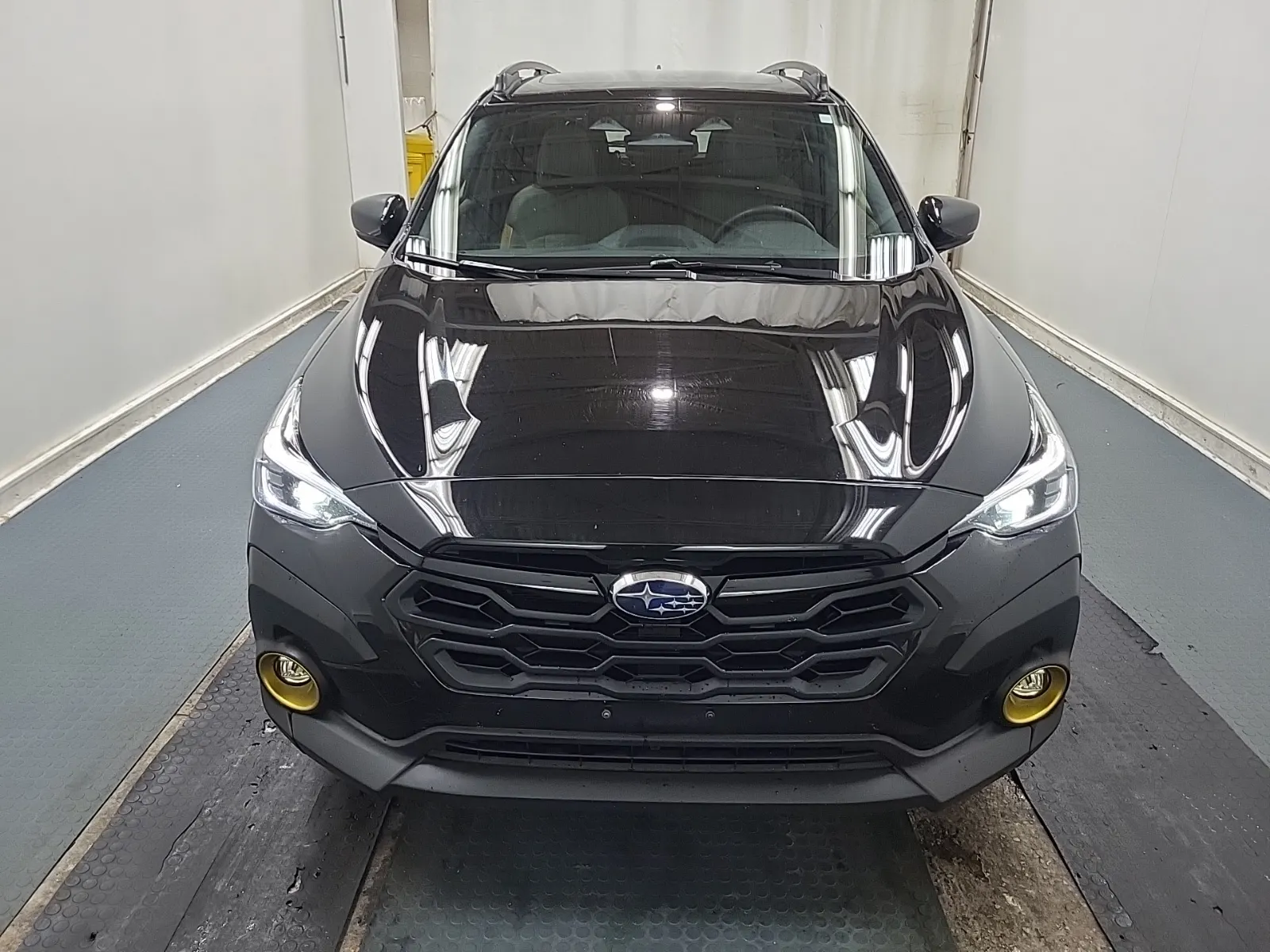 Full Front Photo
