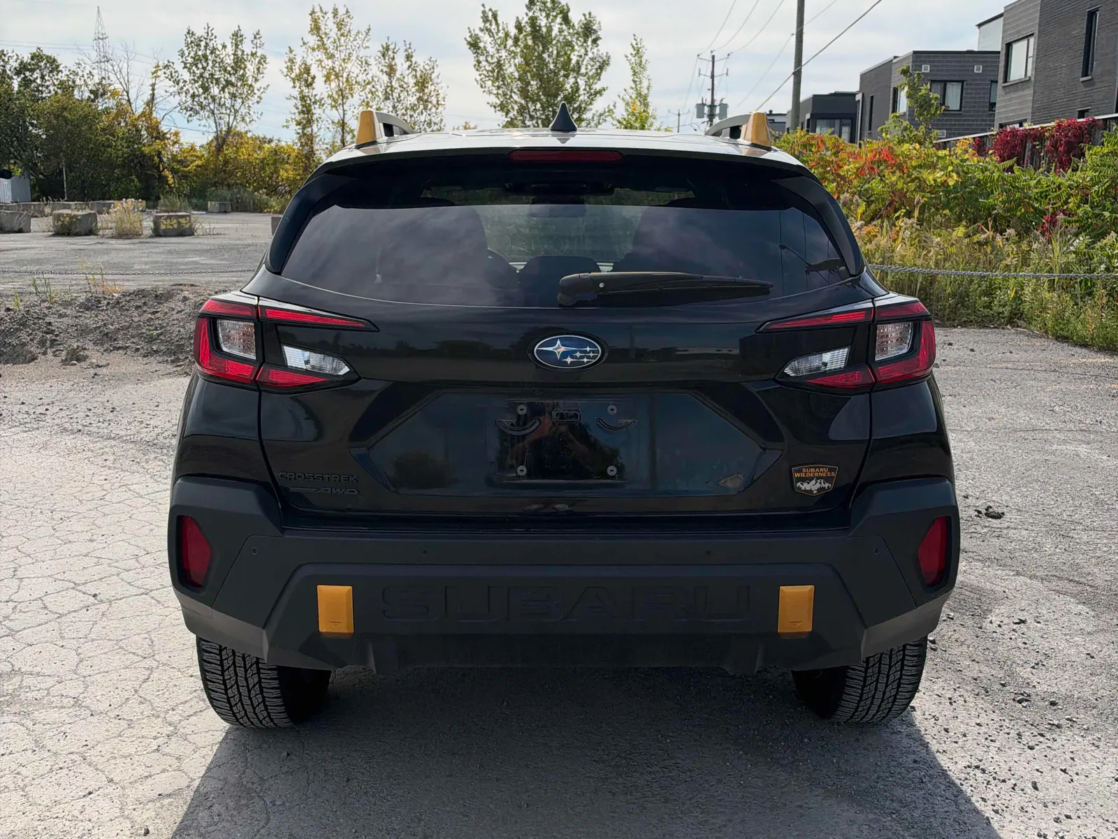 Back