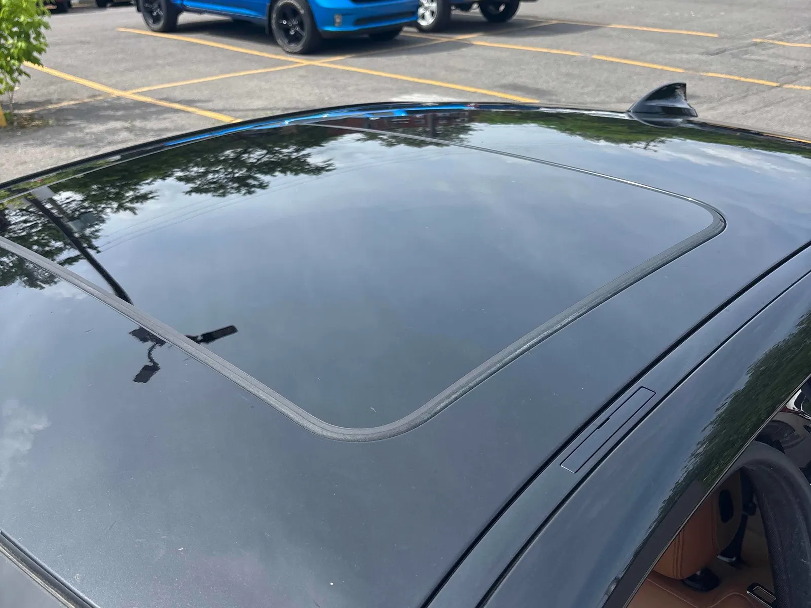 Additional Photo