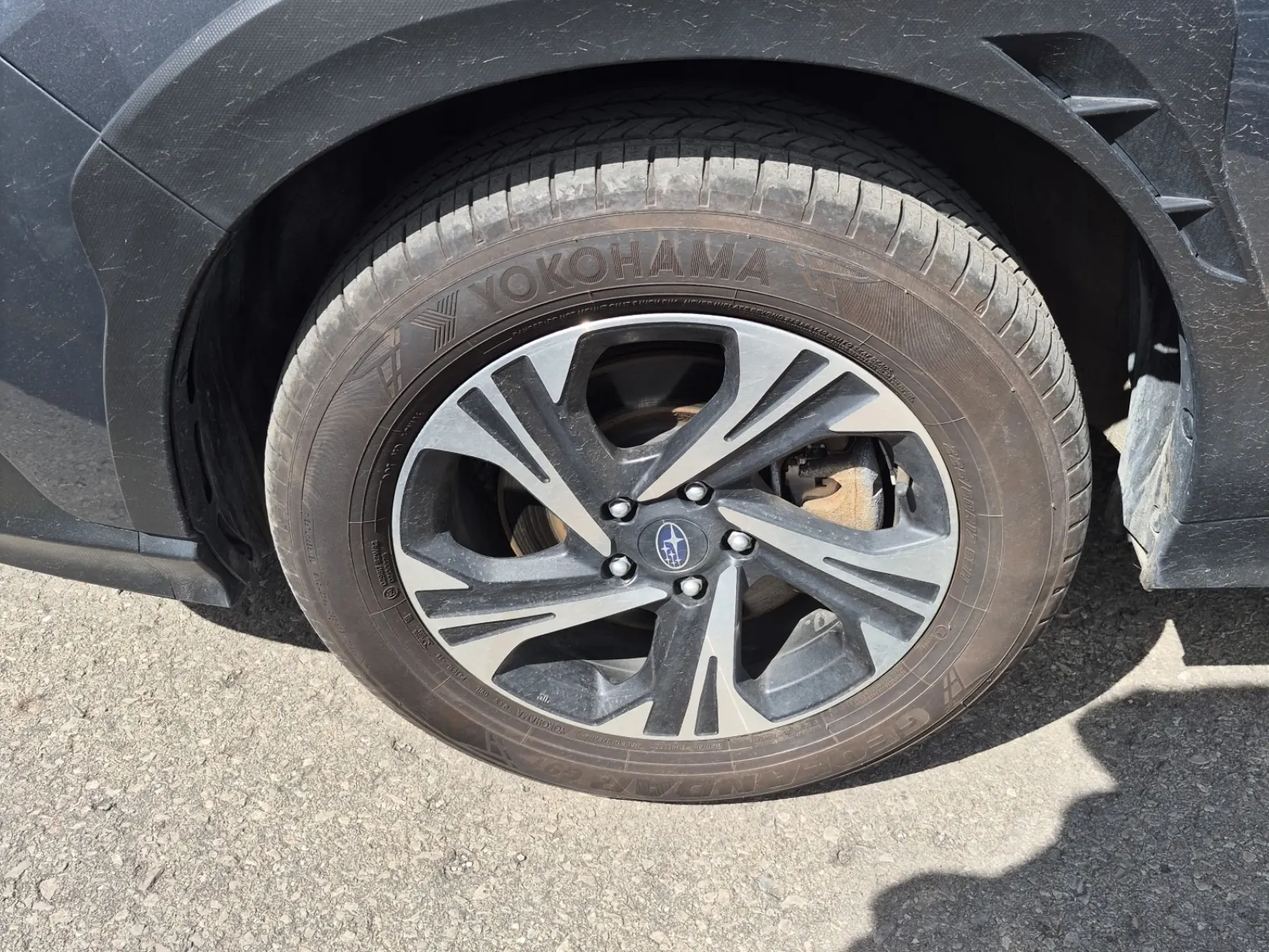 Tire
