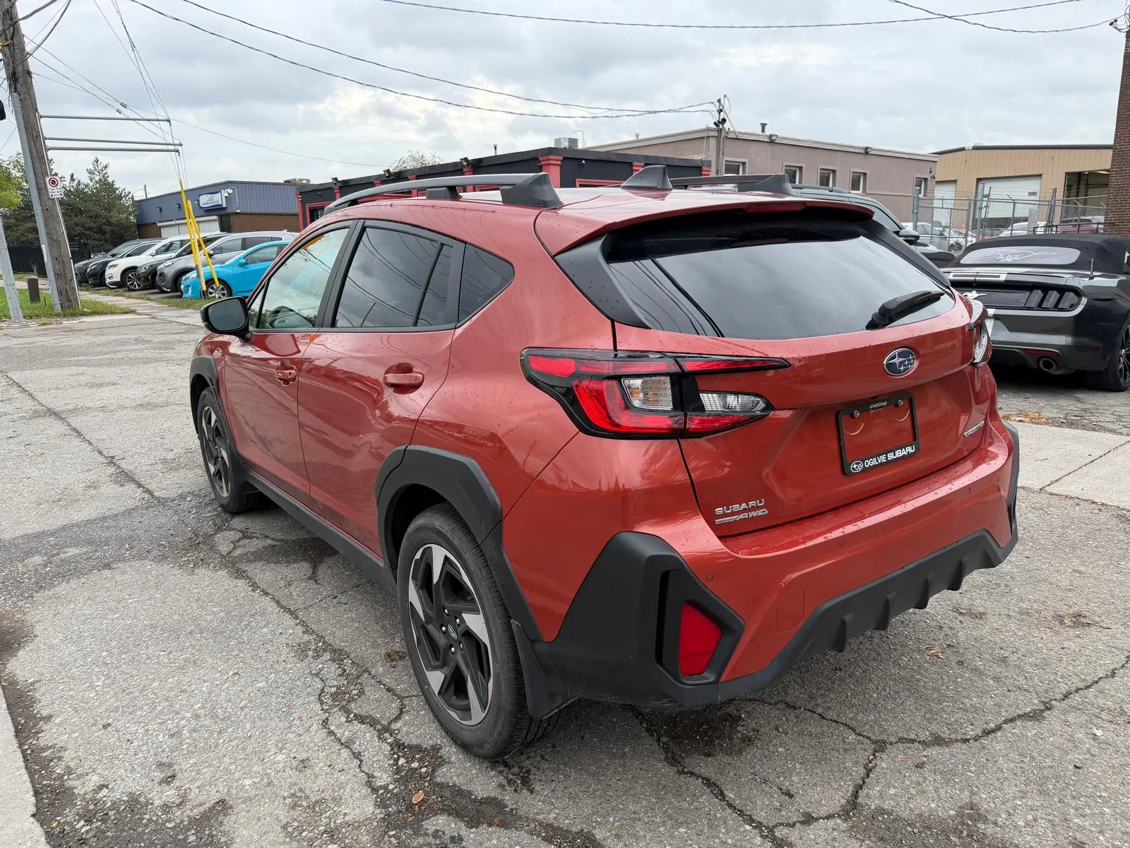 Additional Photo