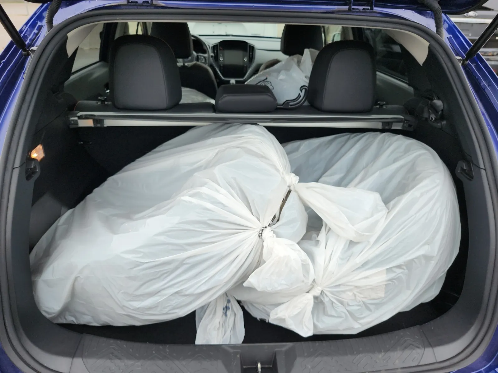Cargo Area Photo