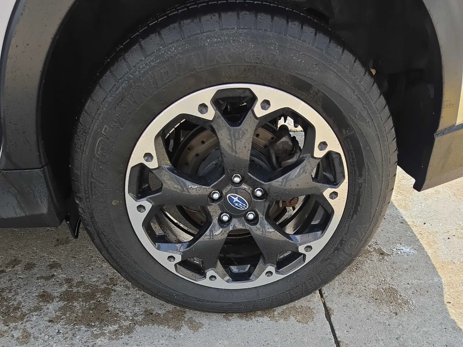 Tire