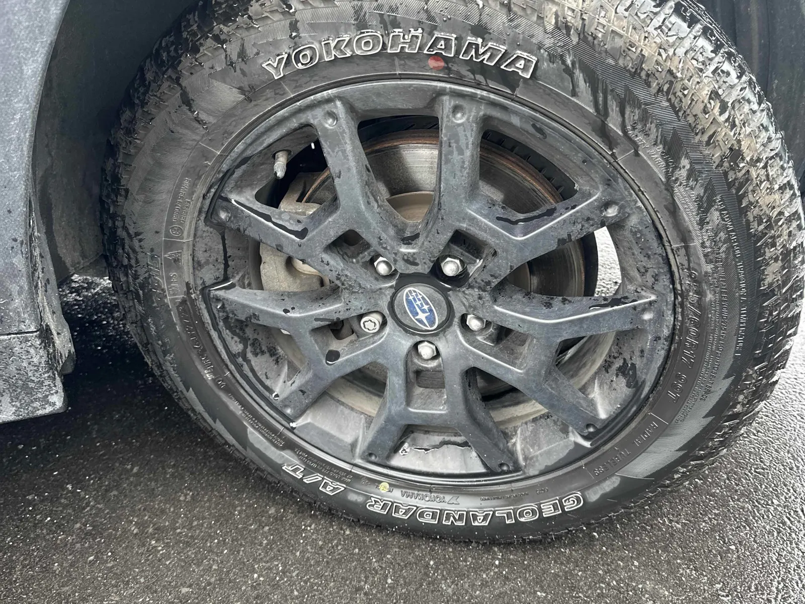 Tire