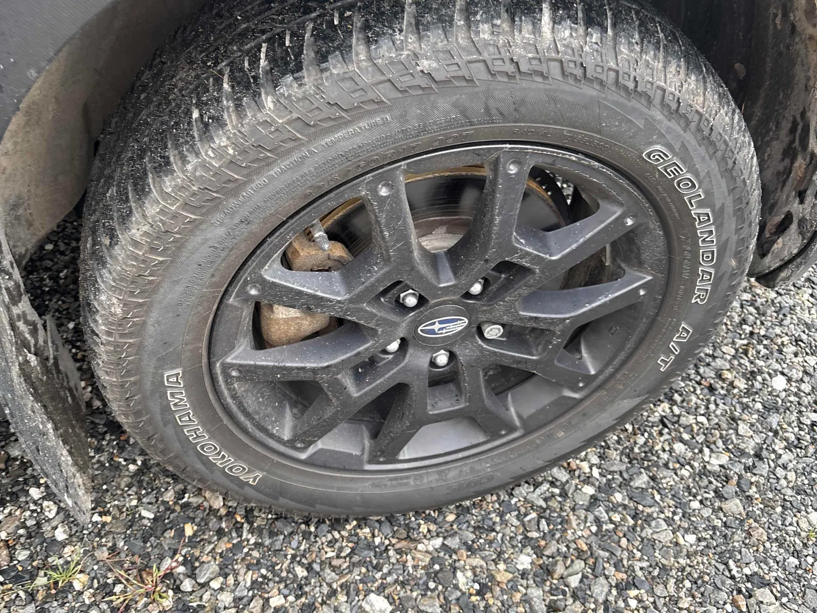 Tire