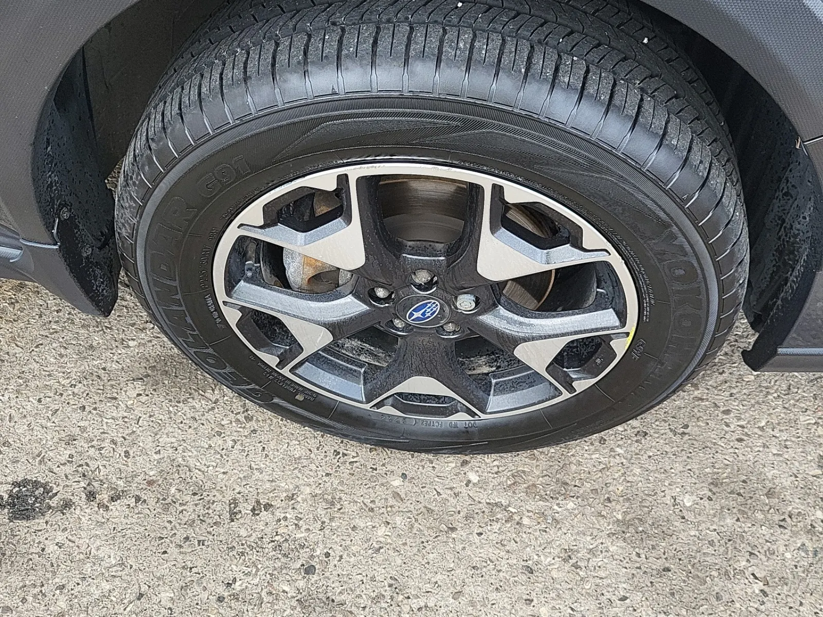 Right Front Wheel/Tire Photo