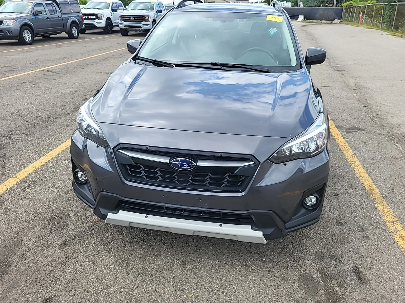 Full Front Photo