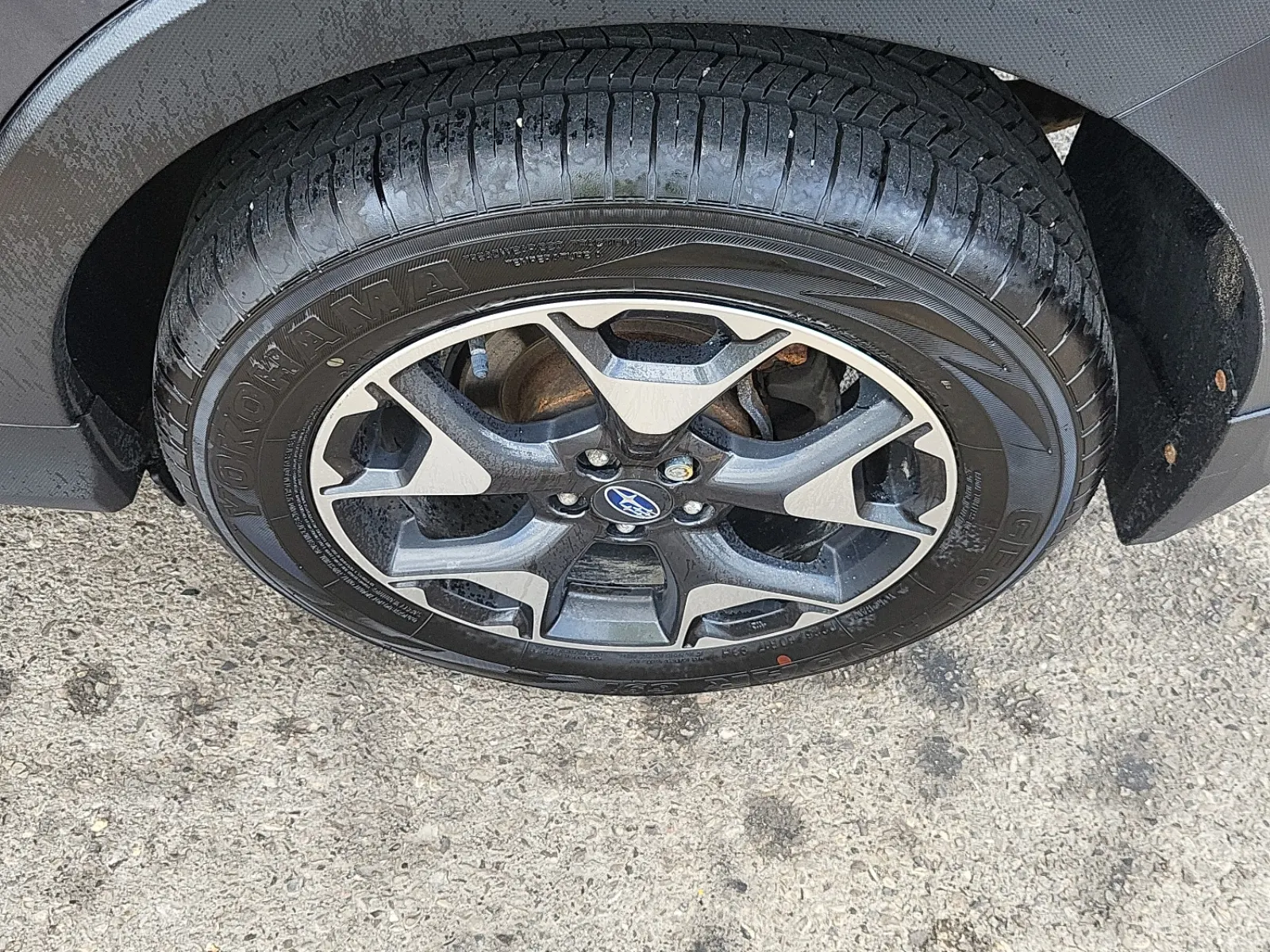 Left Rear Wheel/Tire Photo