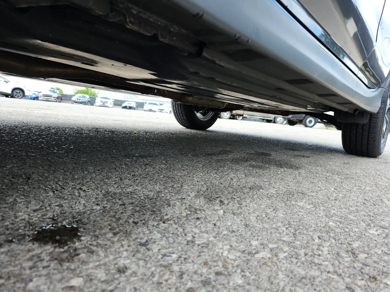 Undercarriage - Driver Photo