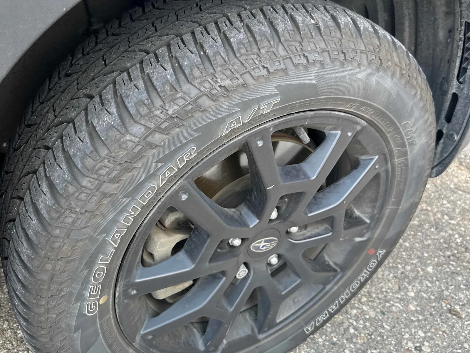 Tire