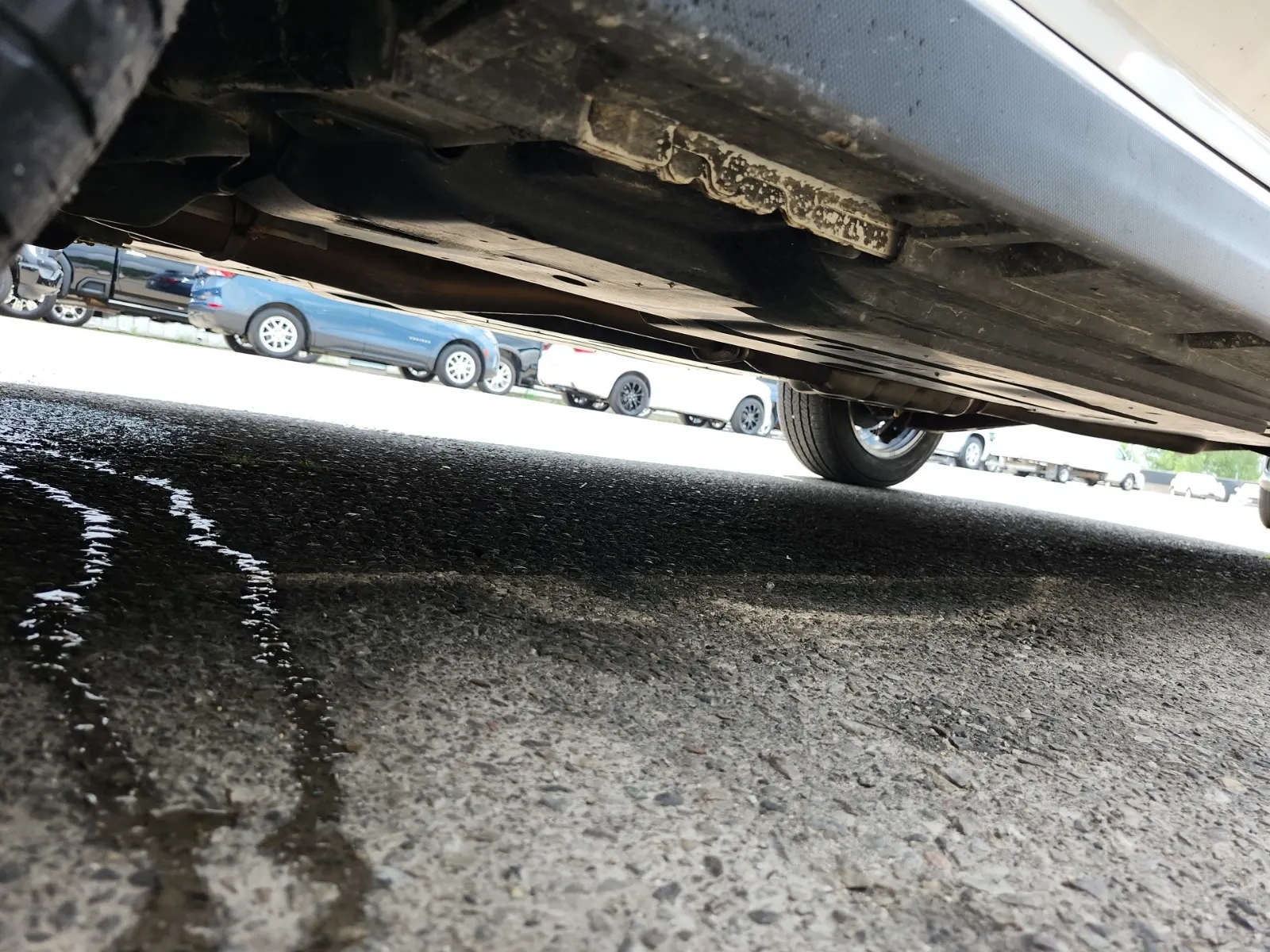 Undercarriage - Driver Photo