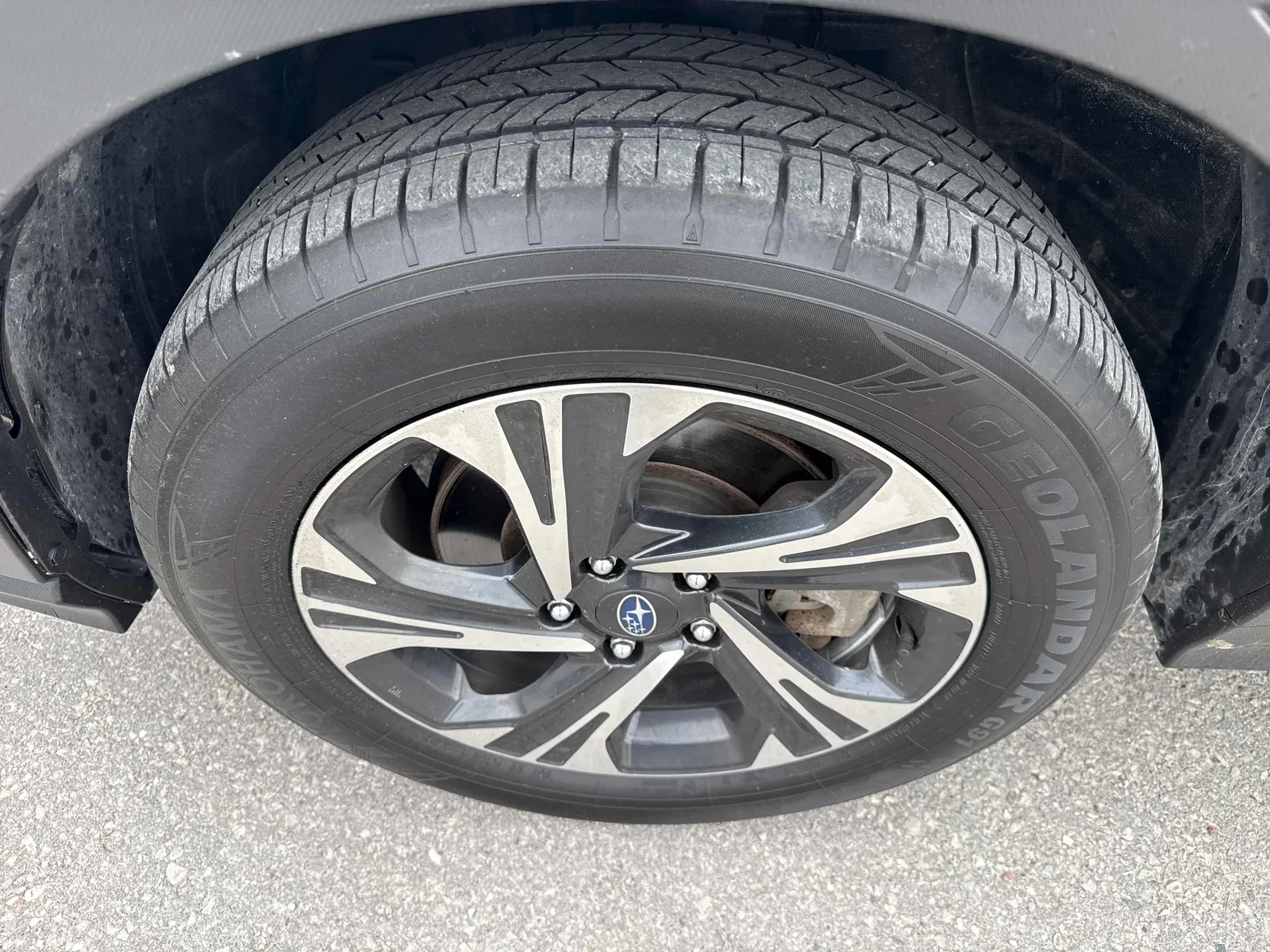 Tire