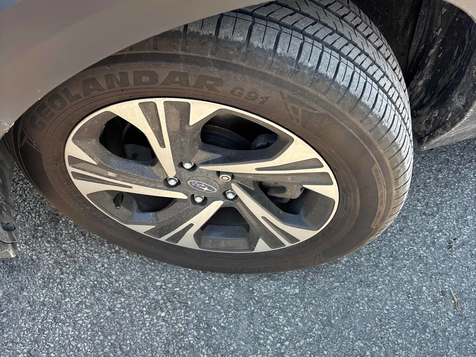 Tire