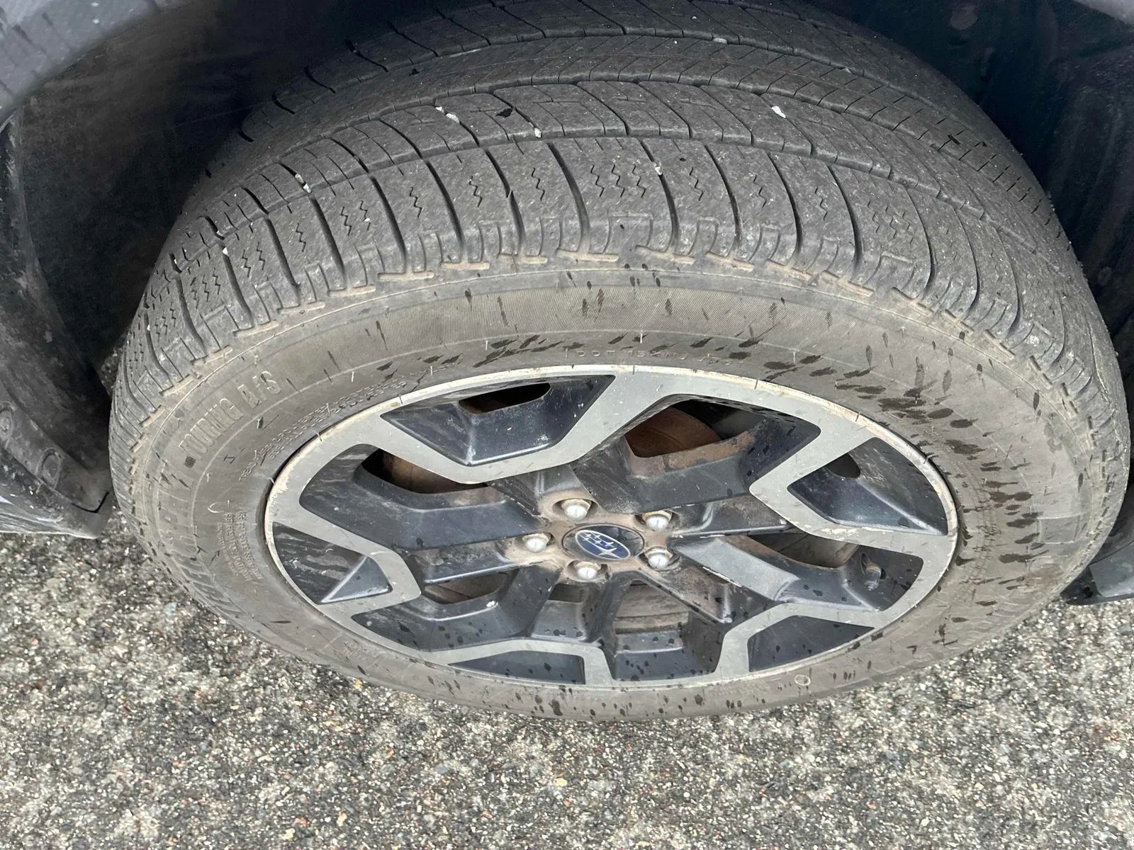 Tire
