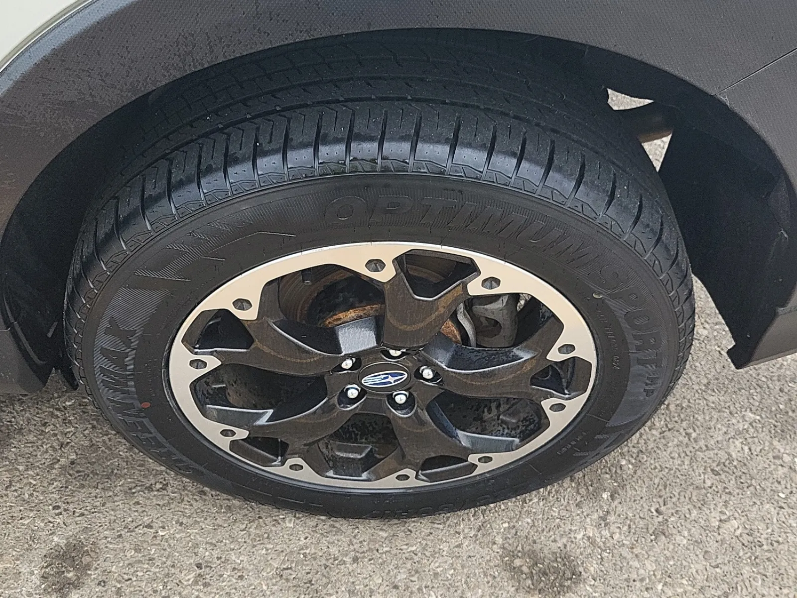 Left Rear Wheel/Tire Photo