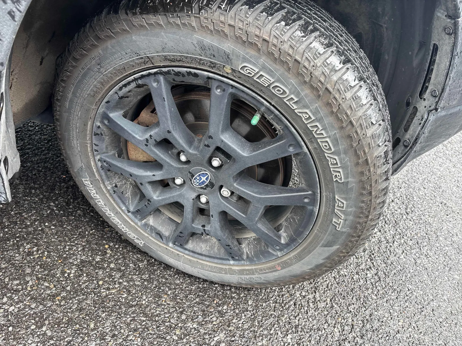 Tire