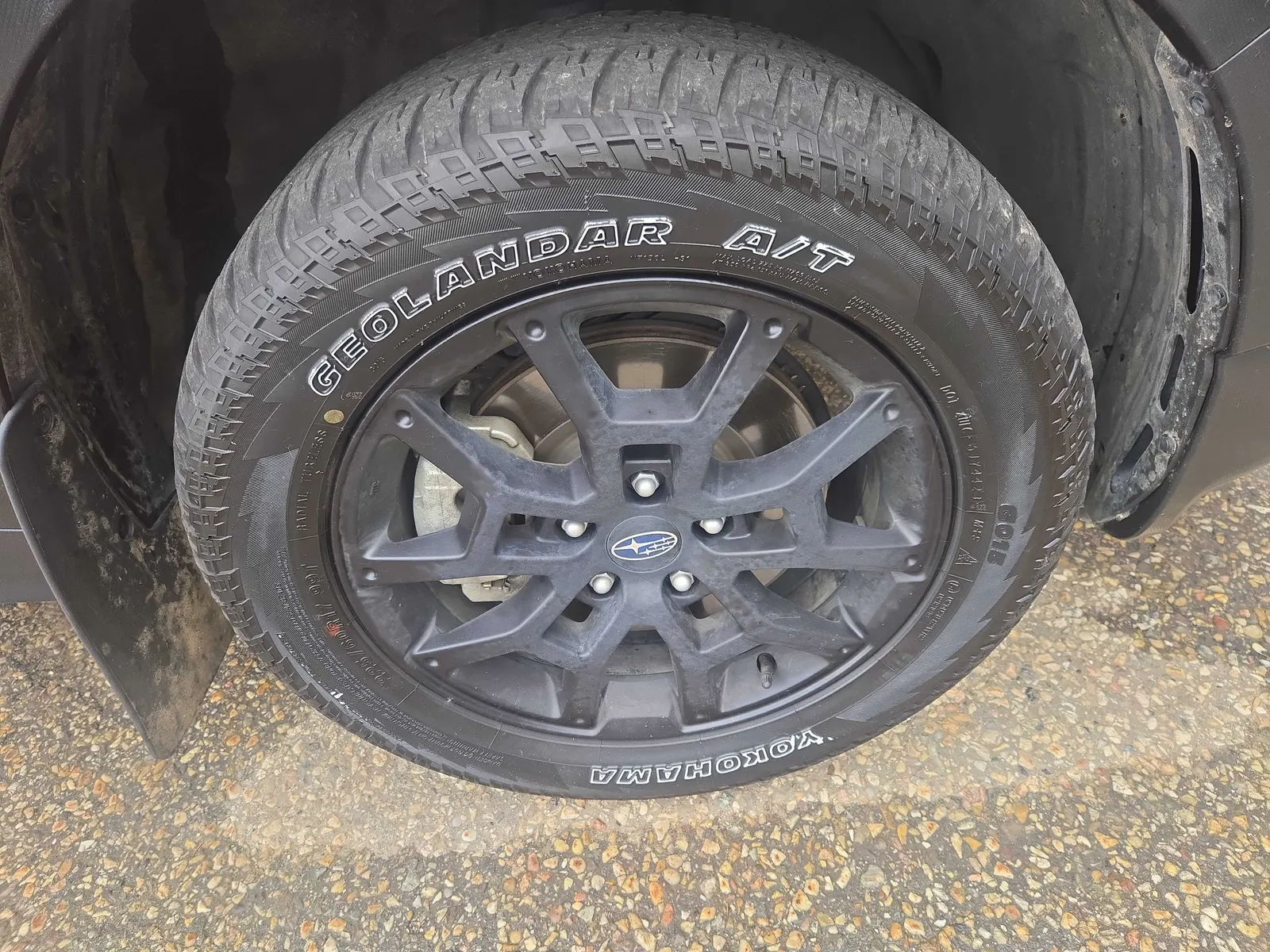 Tire