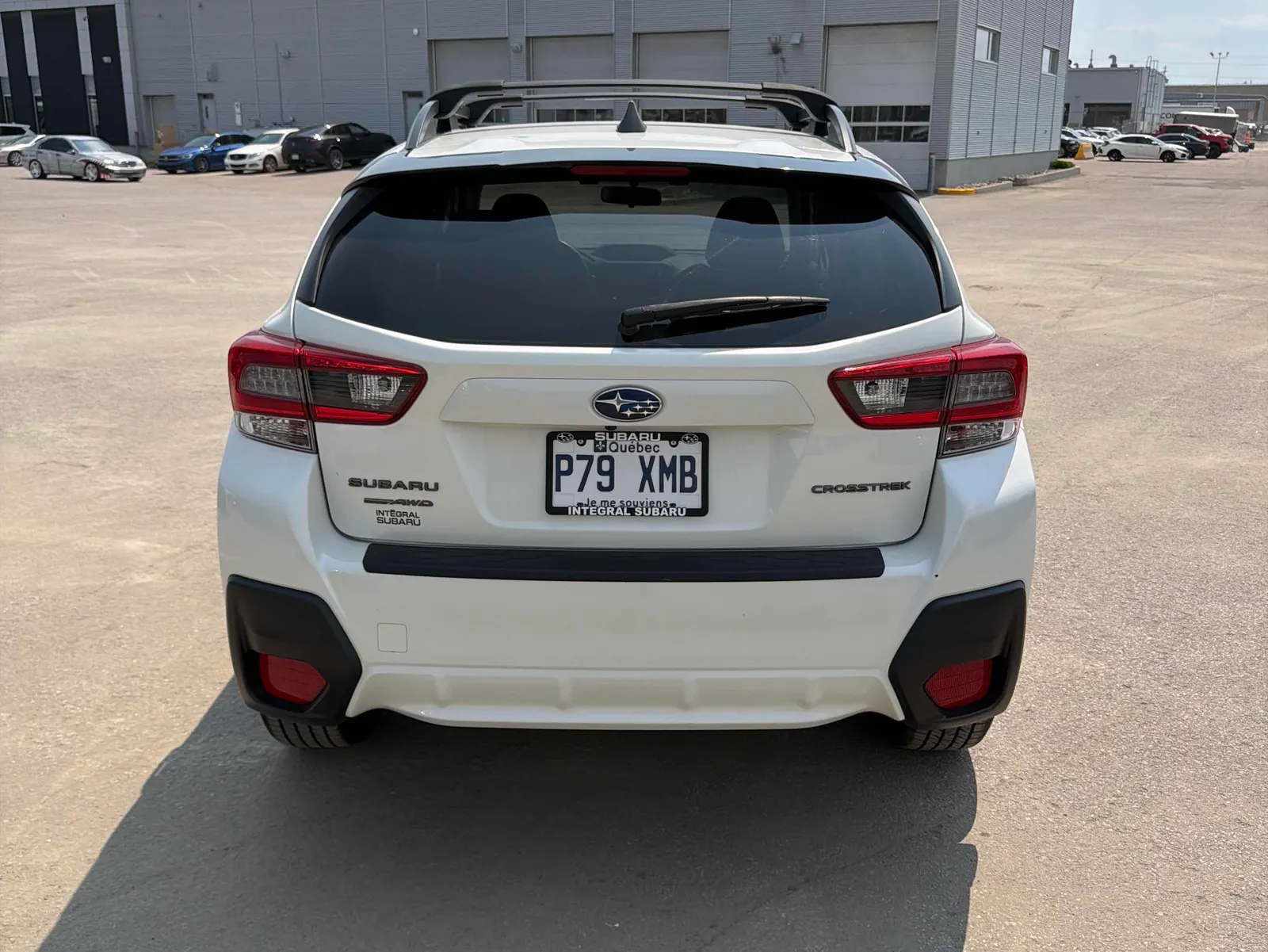 Back