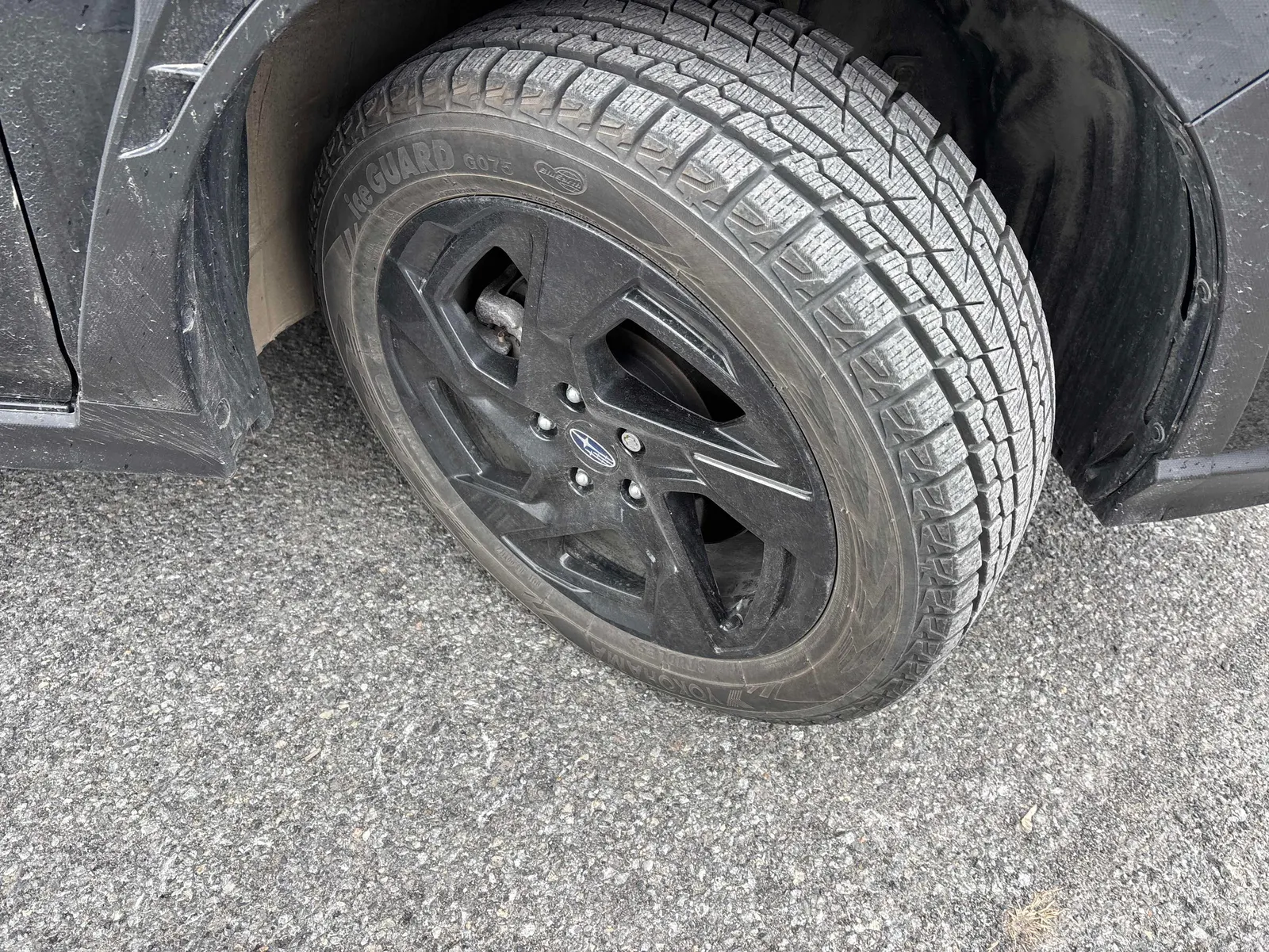 Tire