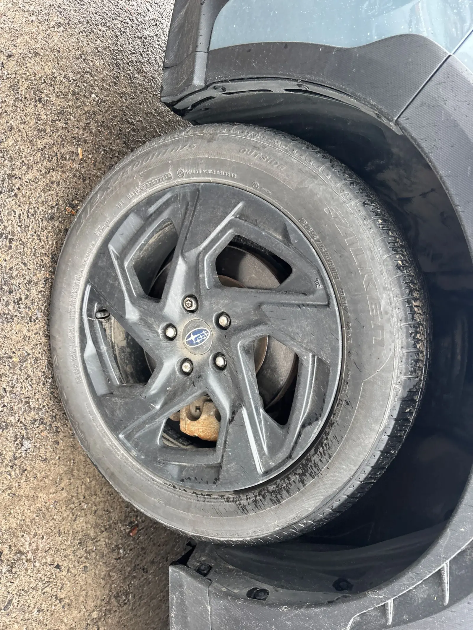 Tire