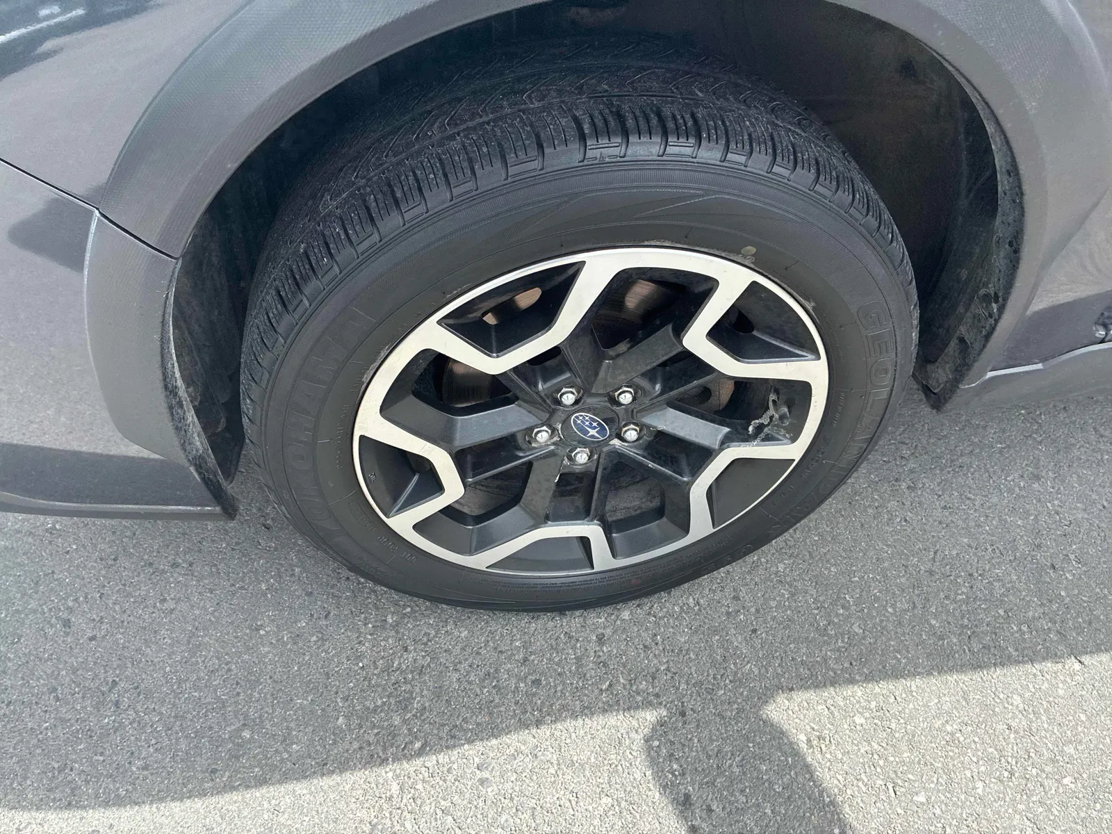Tire