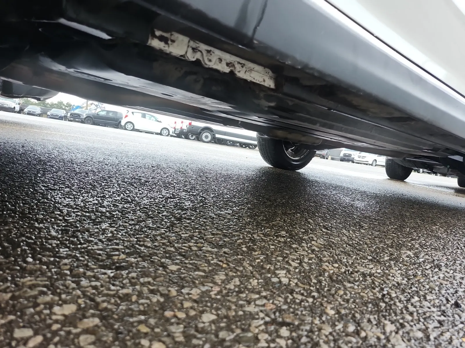 Undercarriage - Driver Photo