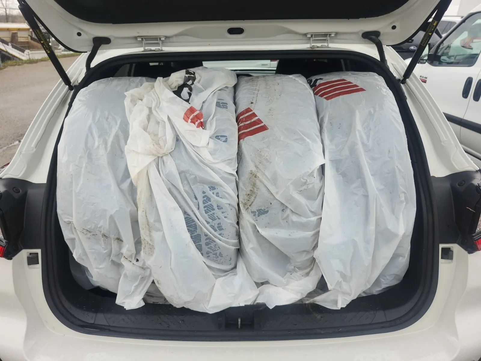 Cargo Area Photo