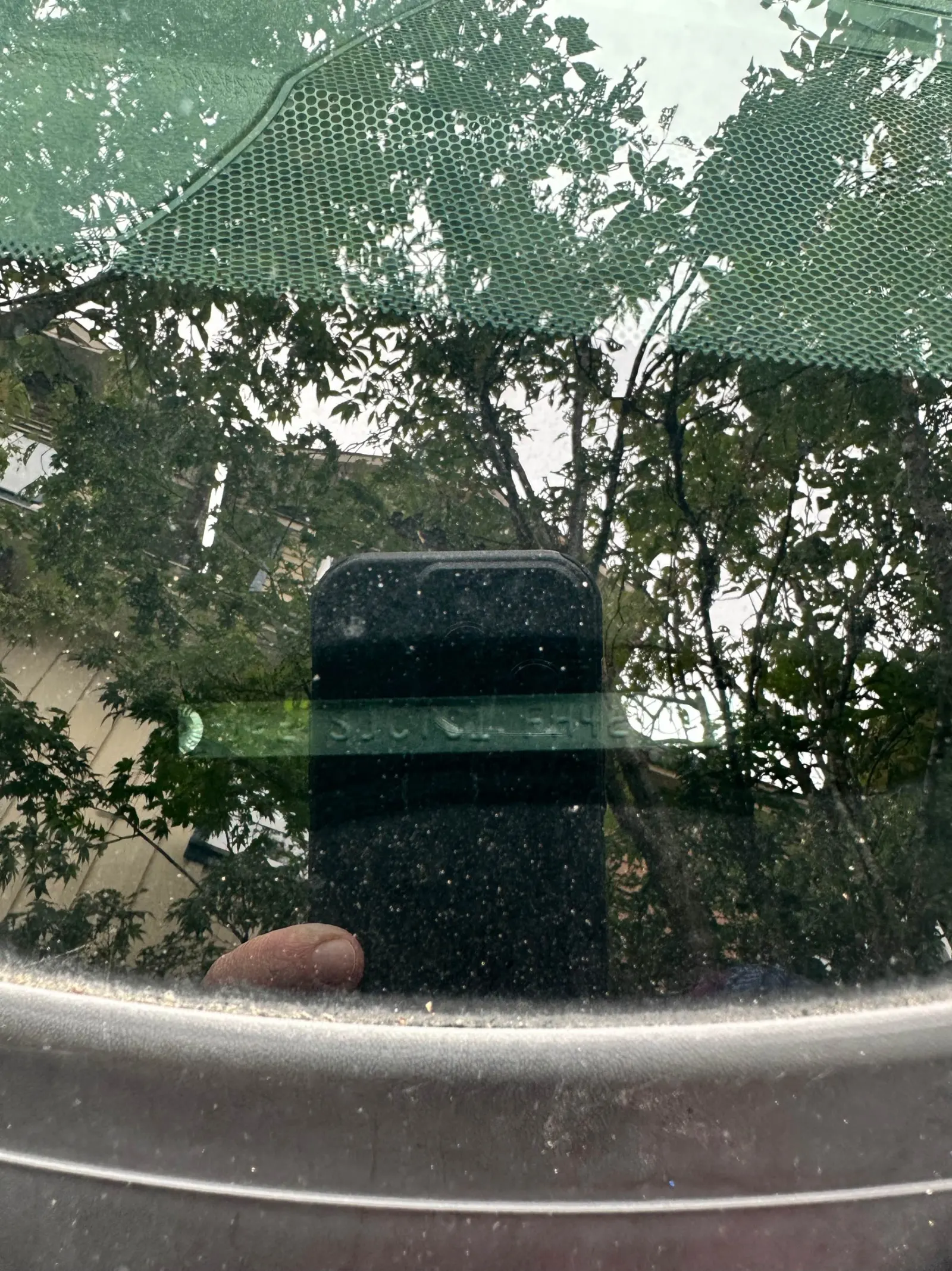 Additional Photo