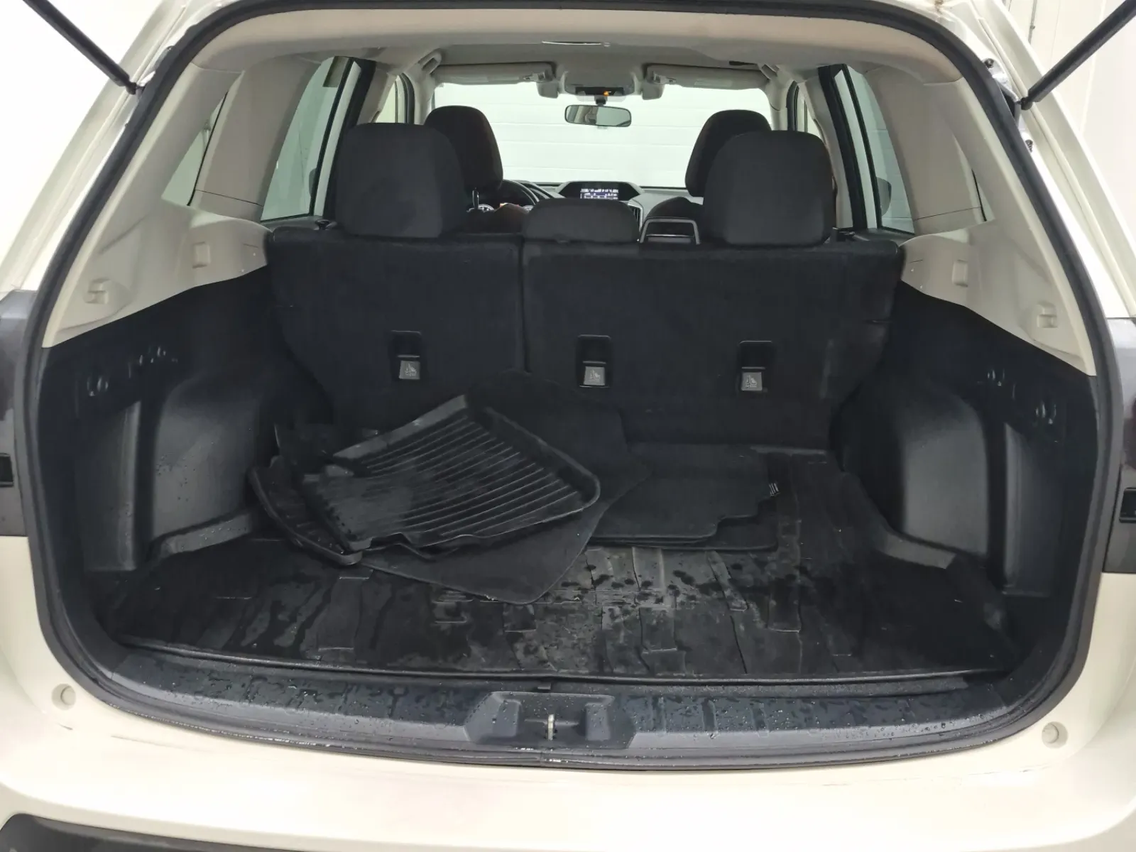 Cargo Area Photo