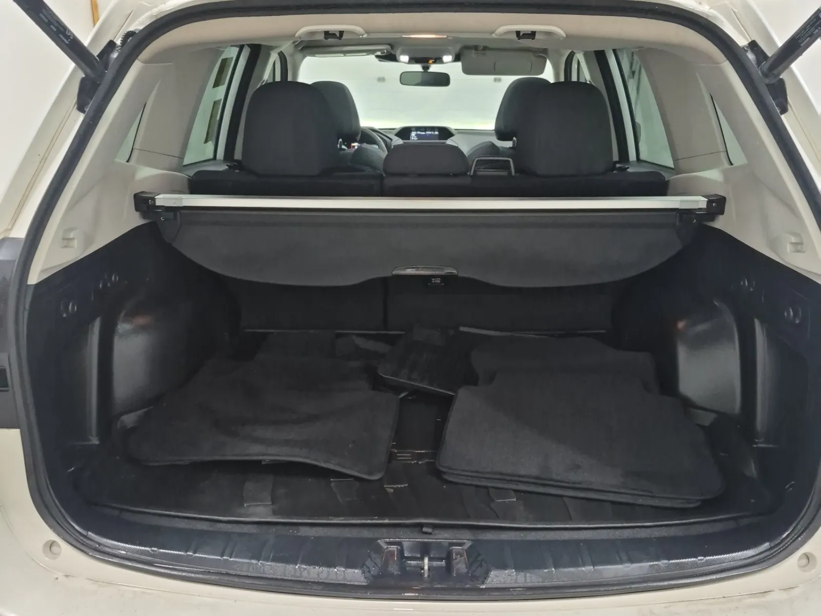 Cargo Area Photo