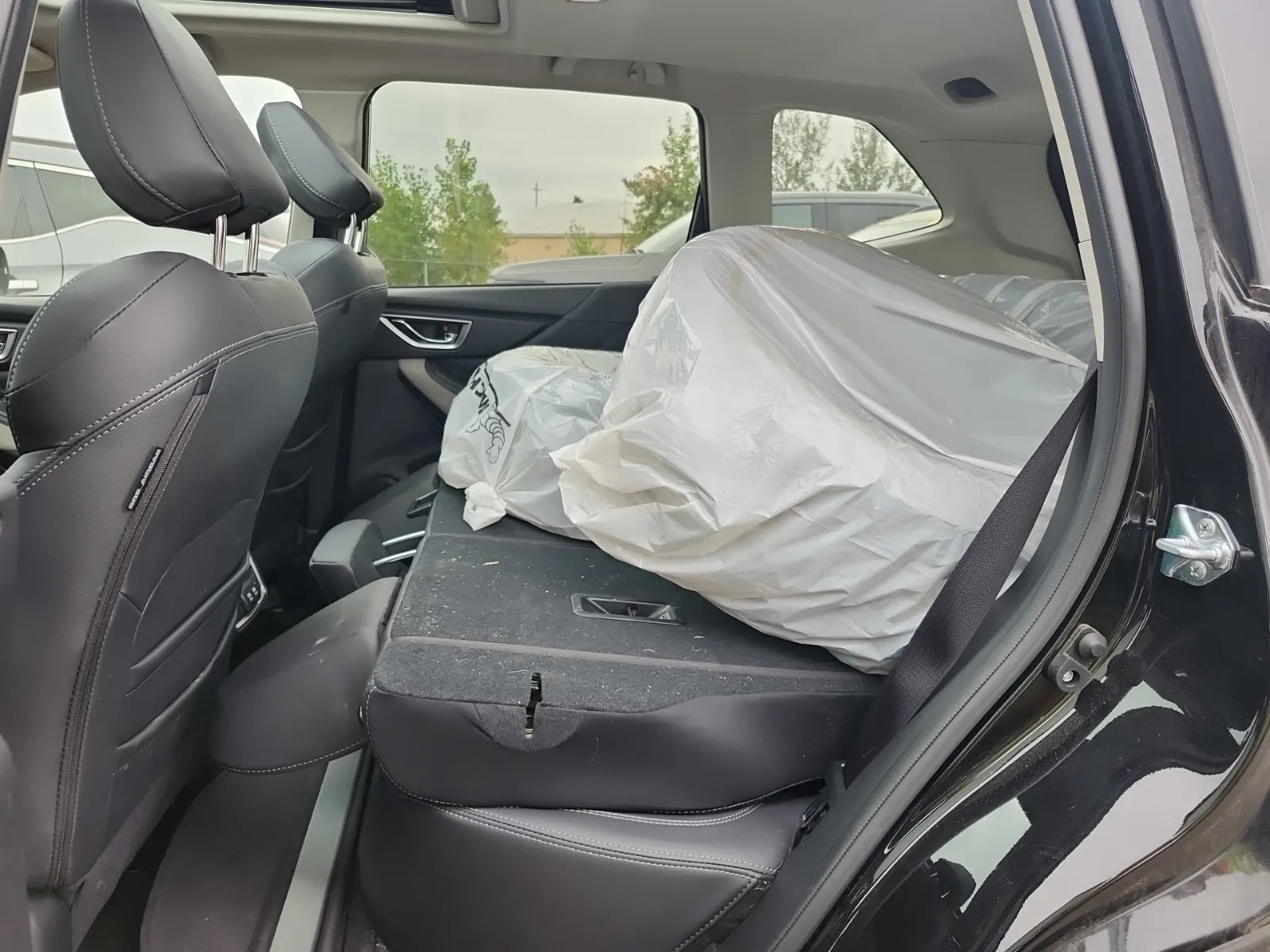 Rear Interior Photo