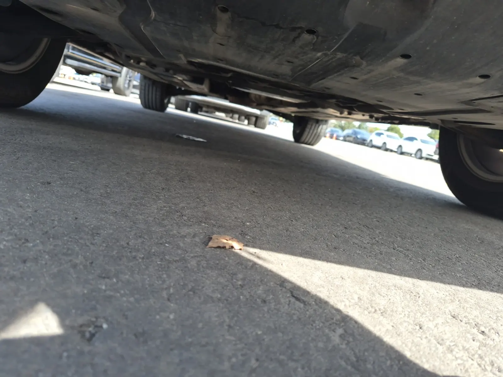 Undercarriage - Front Photo