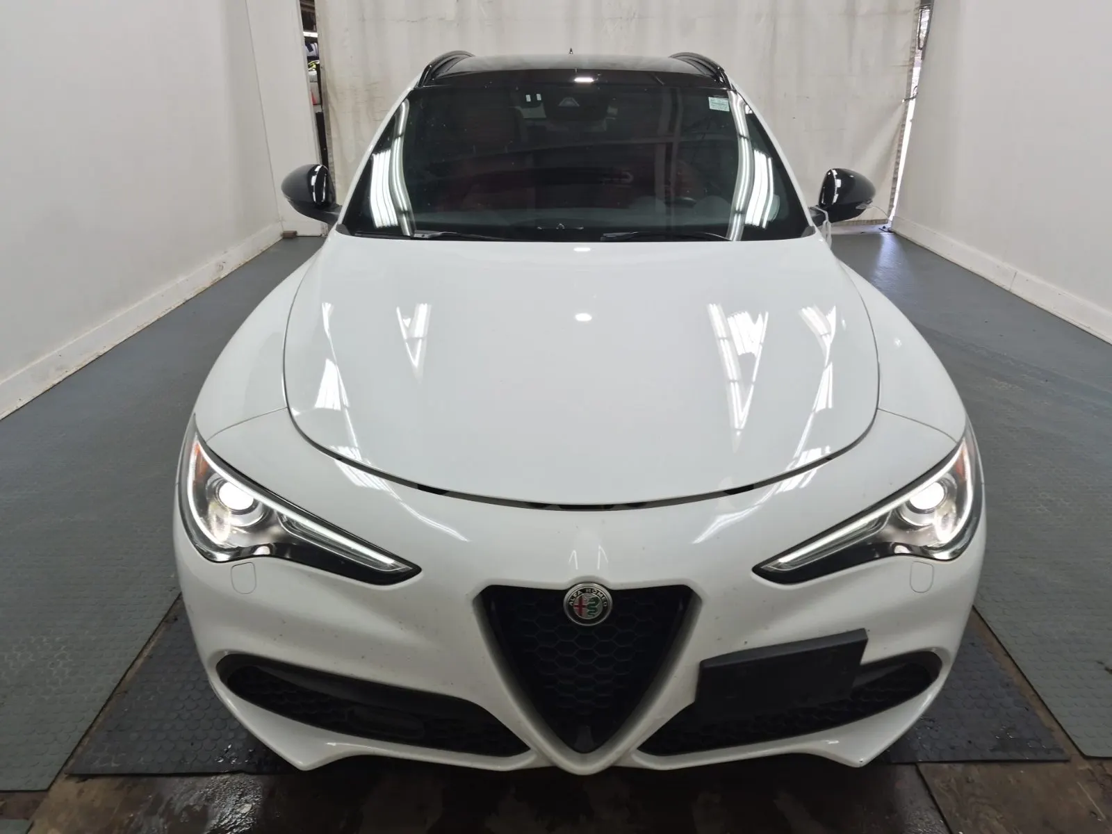 Full Front Photo