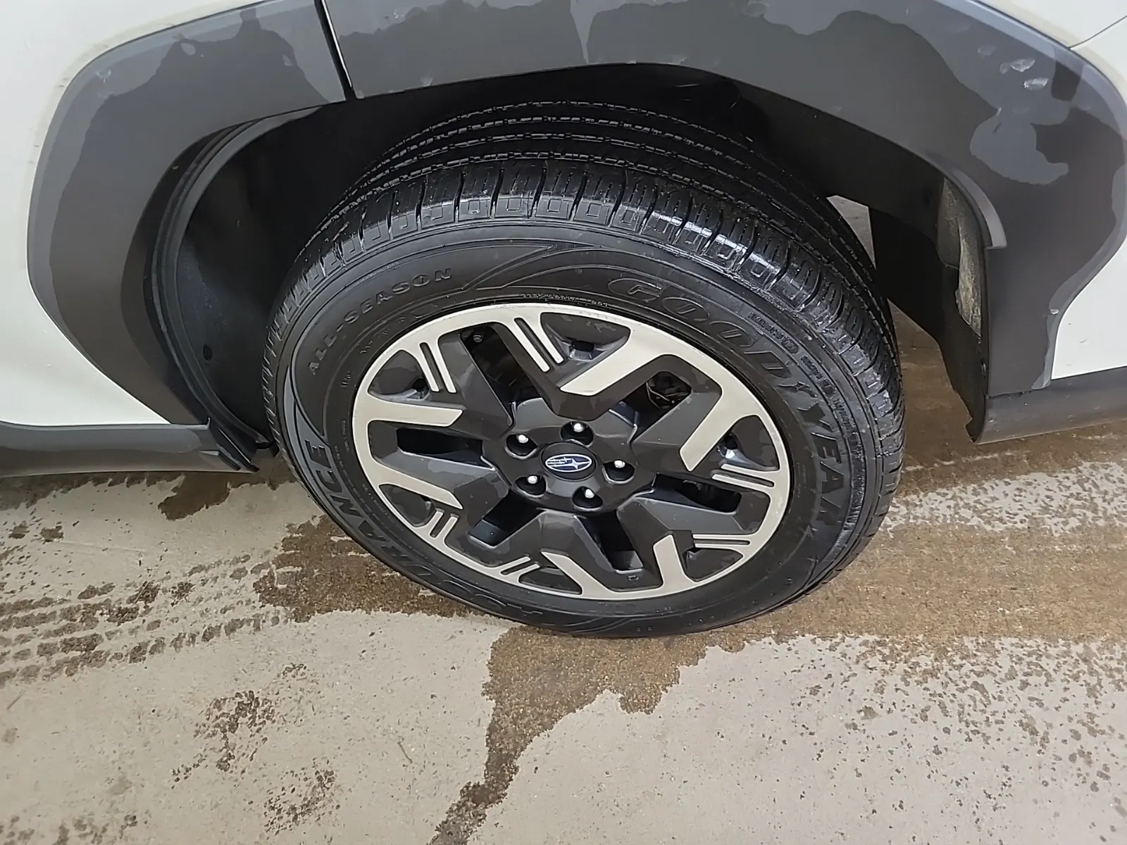 Left Rear Wheel/Tire Photo