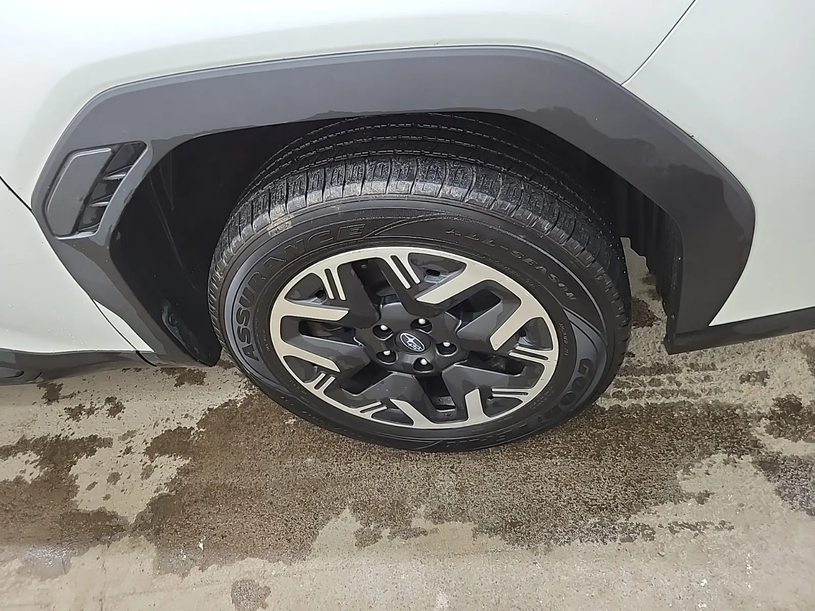 Right Front Wheel/Tire Photo