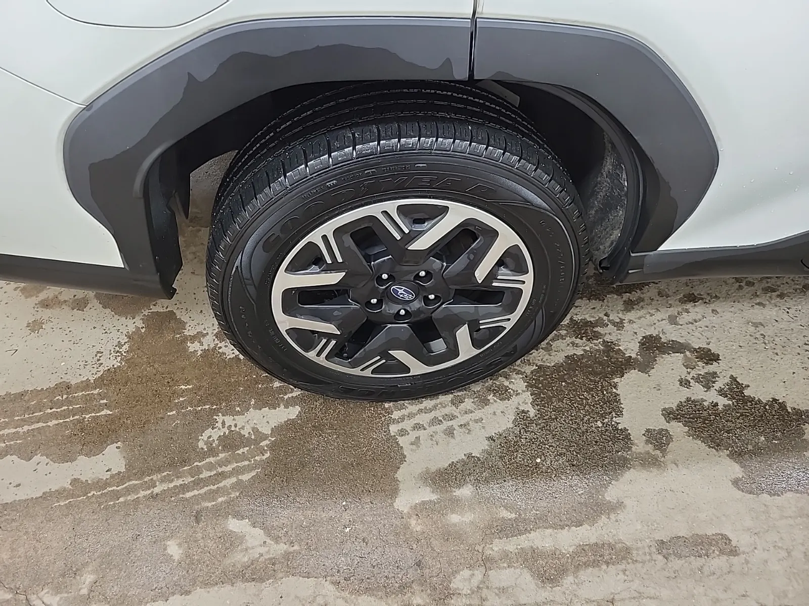 Right Rear Wheel/Tire Photo